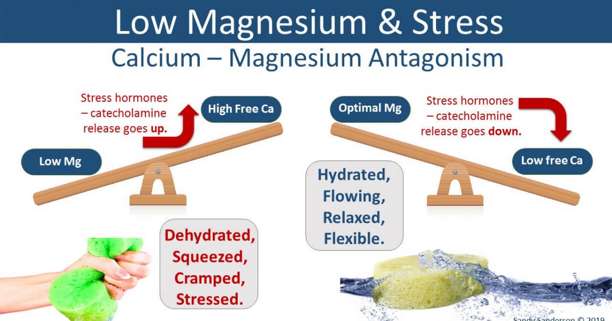 Can Magnesium Relieve Anxiety and Depression? | Elektra Magnesium